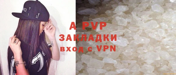 прущие грибы Чекалин