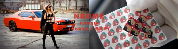 ГАЛЛЮЦИНОГЕННЫЕ ГРИБЫ Аркадак
