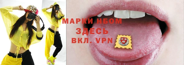 ГАЛЛЮЦИНОГЕННЫЕ ГРИБЫ Аркадак