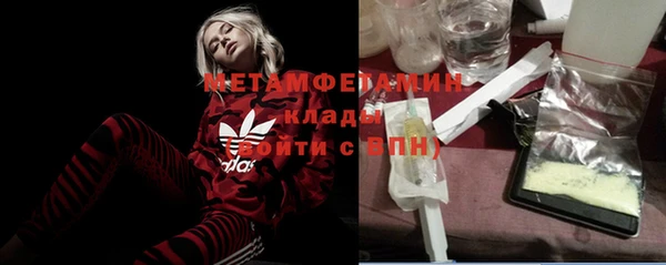 ГАЛЛЮЦИНОГЕННЫЕ ГРИБЫ Аркадак
