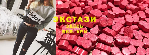 ГАЛЛЮЦИНОГЕННЫЕ ГРИБЫ Аркадак
