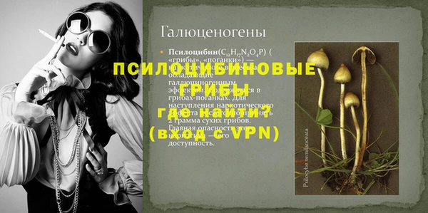 ГАЛЛЮЦИНОГЕННЫЕ ГРИБЫ Аркадак